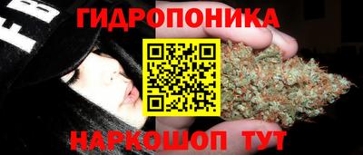 ALPHA PVP Бузулук