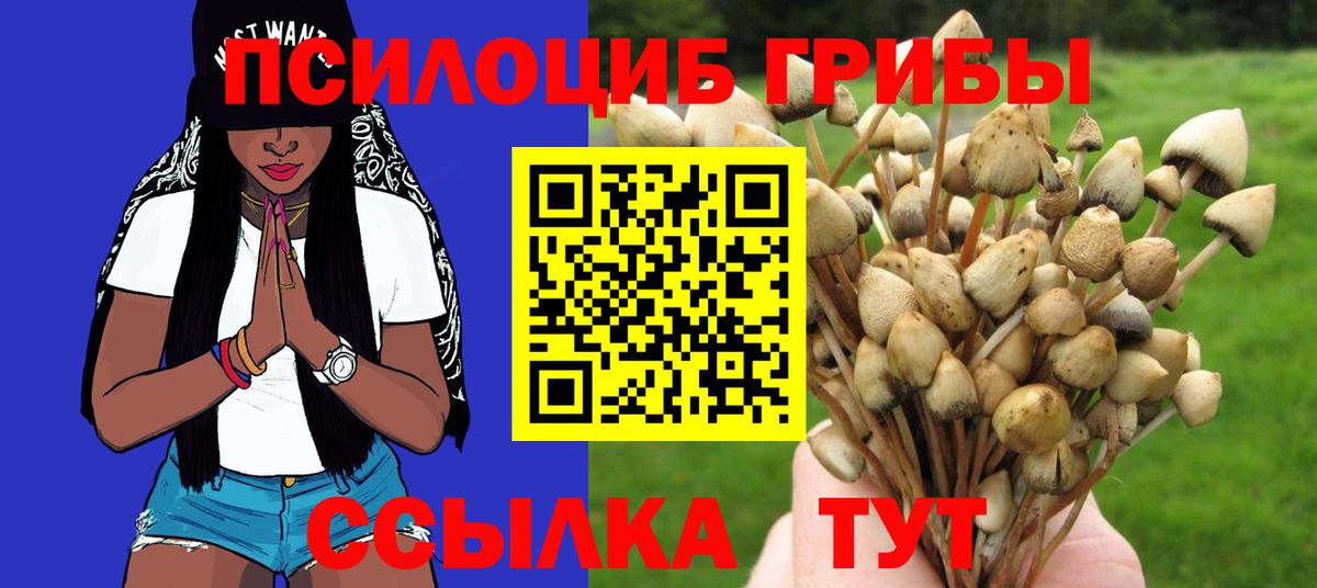 Ростов Великий  Галлюциногенные грибы Psilocybe  Вход с VPN 